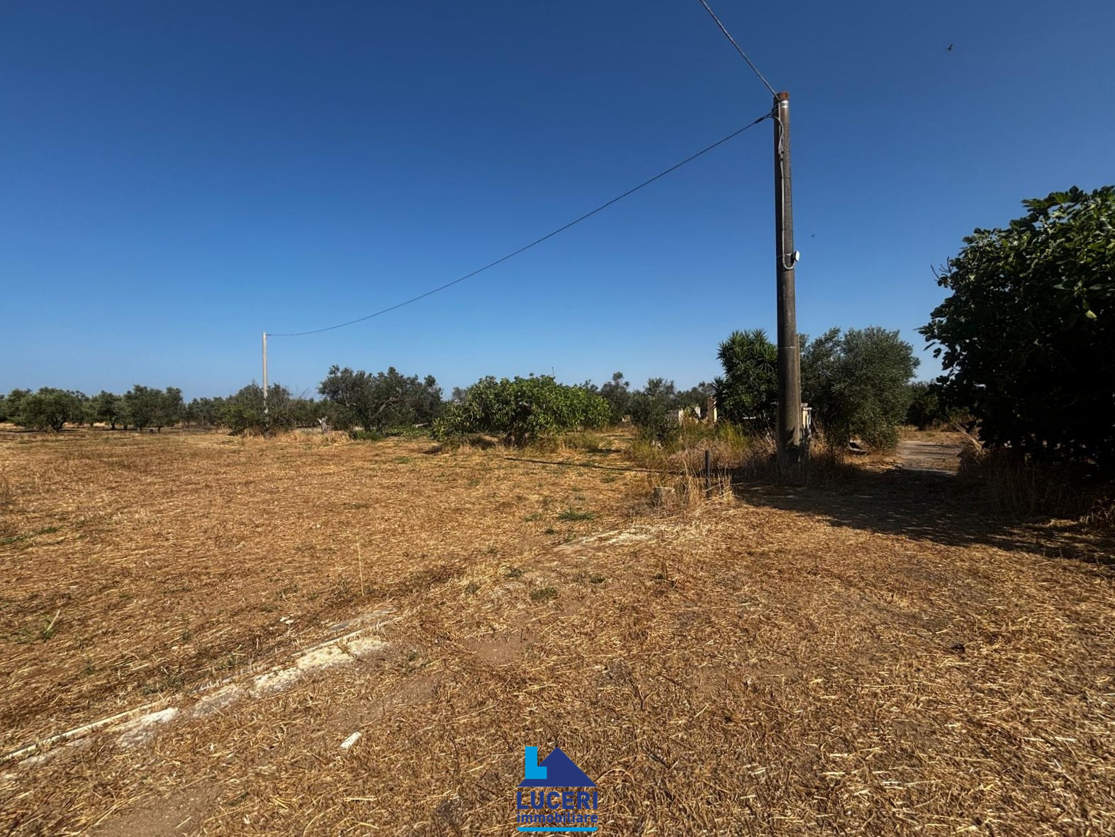 MG-39.003 Terreno di 7000 mq edificabile, Matino