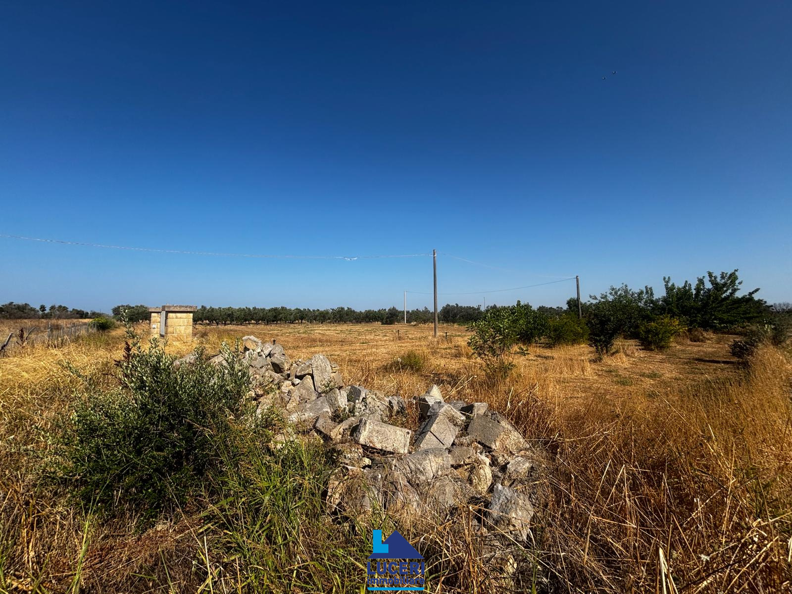 MG-39.004 Terreno di 7000 mq edificabile, Matino
