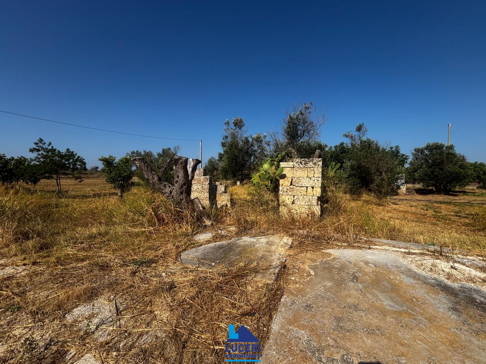 MG-39.005 Terreno di 7000 mq edificabile, Matino