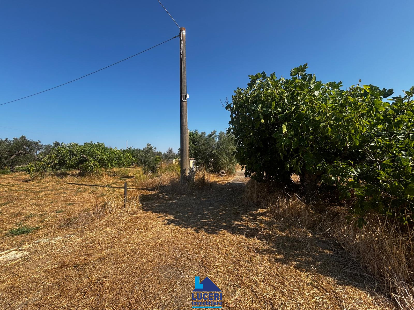 MG-39.006 Terreno di 7000 mq edificabile, Matino
