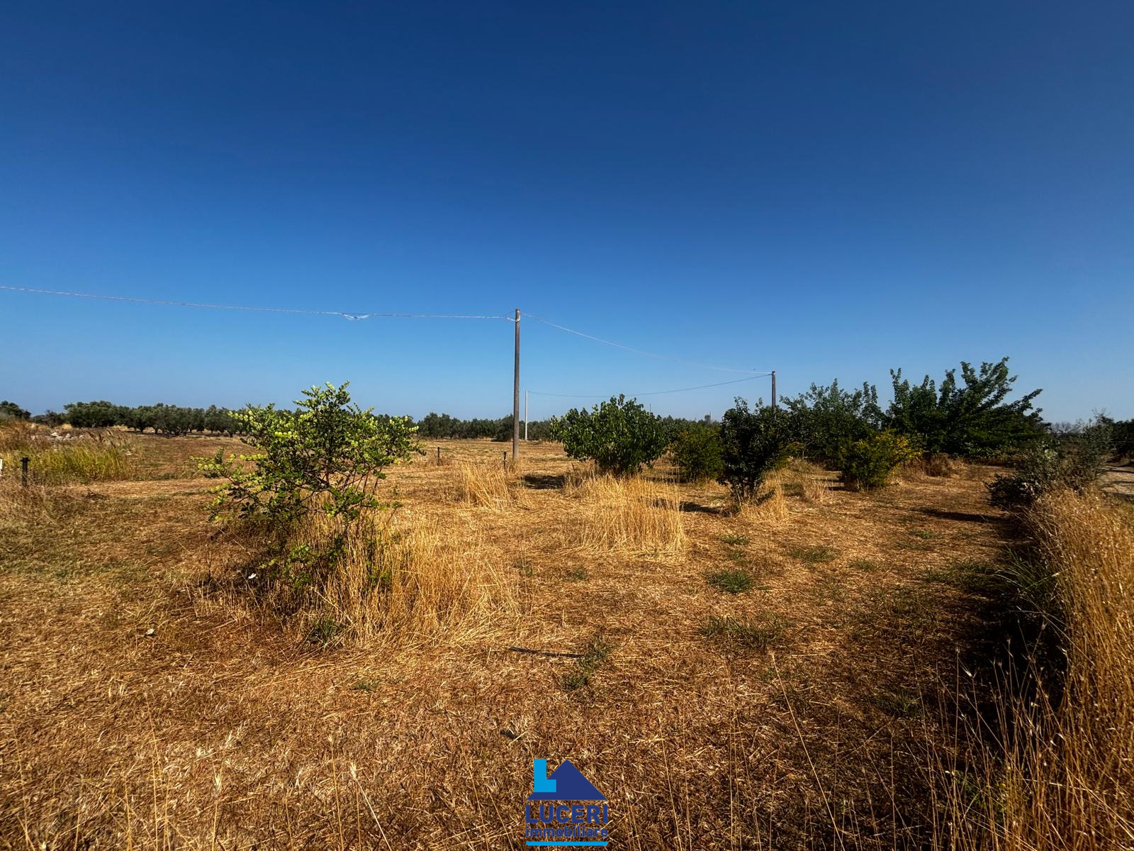MG-39.013 Terreno di 7000 mq edificabile, Matino